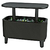 Keter Party hladnjak / stol Bevy Bar  (D x Š x V: 83,5 x 40 x 74 cm) | BAUHAUS