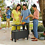 Keter Party hladnjak / stol Bevy Bar  (D x Š x V: 83,5 x 40 x 74 cm) | BAUHAUS