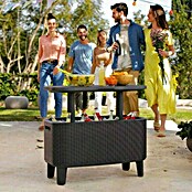 Keter Party hladnjak / stol Bevy Bar  (D x Š x V: 83,5 x 40 x 74 cm) | BAUHAUS