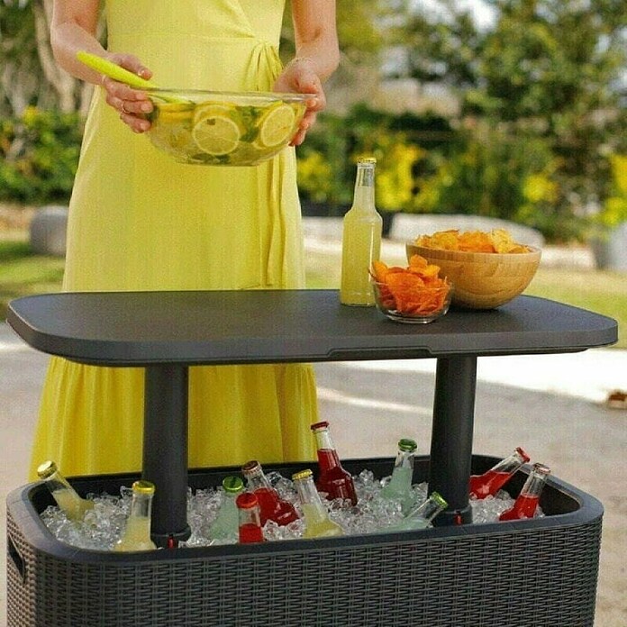 Keter Party hladnjak / stol Bevy Bar  (D x Š x V: 83,5 x 40 x 74 cm) | BAUHAUS