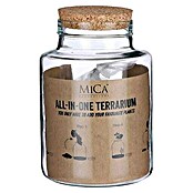 Mica Decorations Terarij All In One  (D x Š x V: 14,5 x 14,5 x 20 cm) | BAUHAUS