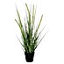 Umetna rastlina Dogtail 