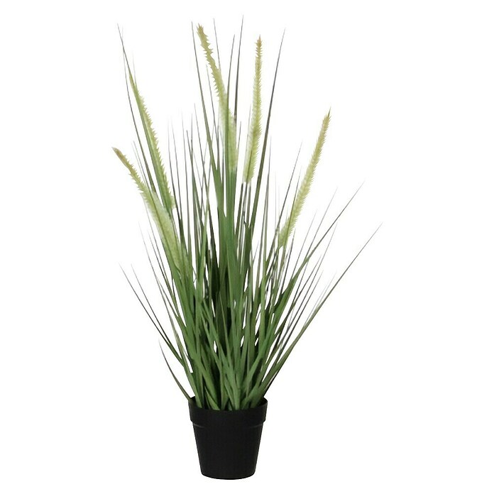 Umetna rastlina Dogtail  (Višina: 53 cm) | 8471 - Seidenblumen/Kunstpflanzen | IDDQ - Seidenblumen/Kunstpflanzen | IDD - Trendy | ID - Trendy | I - Stadtgarten | BAUHAUS