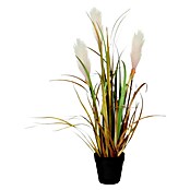 Umjetna biljka  (Visina: 53 cm) | BAUHAUS