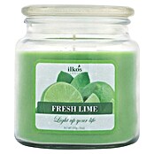 Ilkos Kozarec za voščeno svečo Fresh lime  (Približen čas gorenja: 55 h - 70 h) | 8500 - Duftkerzen | IDDL - Kerzen /Düfte | IDD - Trendy | ID - Trendy | I - Stadtgarten | BAUHAUS