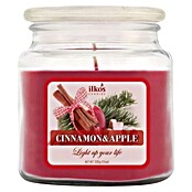 Ilkos Kozarec za voščeno svečo Jabolko & cimet  (Približen čas gorenja: 55 h - 70 h) | 8500 - Duftkerzen | IDDL - Kerzen /Düfte | IDD - Trendy | ID - Trendy | I - Stadtgarten | BAUHAUS