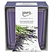 Ipuro Essentials Dišeča sveča v kozarcu Lavender Touch  (125 g) | 8479 - Raumdüfte | IDDL - Kerzen /Düfte | IDD - Trendy | ID - Trendy | I - Stadtgarten | BAUHAUS