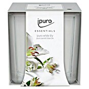 Ipuro Essentials Mirisna svijeća u čaši  (White Lily, 125 g) | BAUHAUS