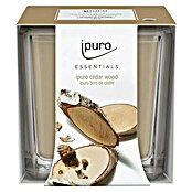 Ipuro Essentials Dišeča sveča v kozarcu Cedar Wood  (125 g) | 8479 - Raumdüfte | IDDL - Kerzen /Düfte | IDD - Trendy | ID - Trendy | I - Stadtgarten | BAUHAUS