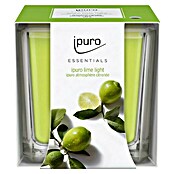 Ipuro Essentials Dišeča sveča v kozarcu Lime Light  (125 g) | 8479 - Raumdüfte | IDDL - Kerzen /Düfte | IDD - Trendy | ID - Trendy | I - Stadtgarten | BAUHAUS