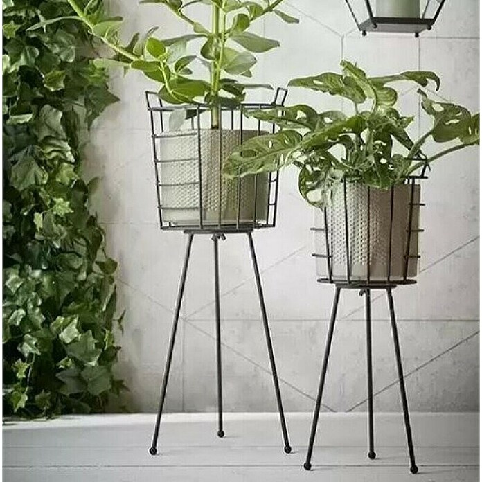 Stojalo za rože  (Železa, Ø x V: 16 x 40 cm) | 8488 - Wohnaccessoires | IDDD - Wohntrends | IDD - Trendy | ID - Trendy | I - Stadtgarten | BAUHAUS