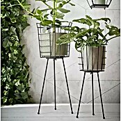 Stojalo za rože  (Železa, Ø x V: 16 x 40 cm) | 8488 - Wohnaccessoires | IDDD - Wohntrends | IDD - Trendy | ID - Trendy | I - Stadtgarten | BAUHAUS
