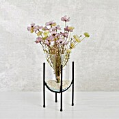 Mica Decorations Vaza Jamey  (Ø x V: 17 x 31 cm, Prozirno, crna, S postoljem) | BAUHAUS