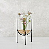 Mica Decorations Vaza Jamey  (Ø x V: 17 x 31 cm, Prozirno, crna, S postoljem) | BAUHAUS