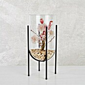 Mica Decorations Vaza Jamey  (Ø x V: 17 x 31 cm, Prozirno, crna, S postoljem) | BAUHAUS