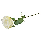 Umjetni cvijet Ruža  (Visina: 66 cm, Bijela) | BAUHAUS