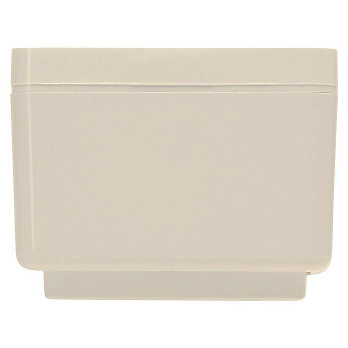 Kopp Tuimelschakelaar Standard (250 V, 10 A) | BAUHAUS