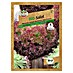 Sperli Salatsamen Bio Pflücksalat Rot 