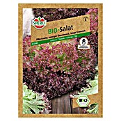 BIO PFLÜCKSALAT ROT