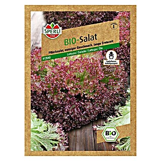 Sperli Salatsamen Bio Pflücksalat Rot (Lactuca sativa, Erntezeit: Mai - Oktober)
