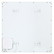 Livn Infrarood paneel Plus 350 (350 W, Wit) | BAUHAUS