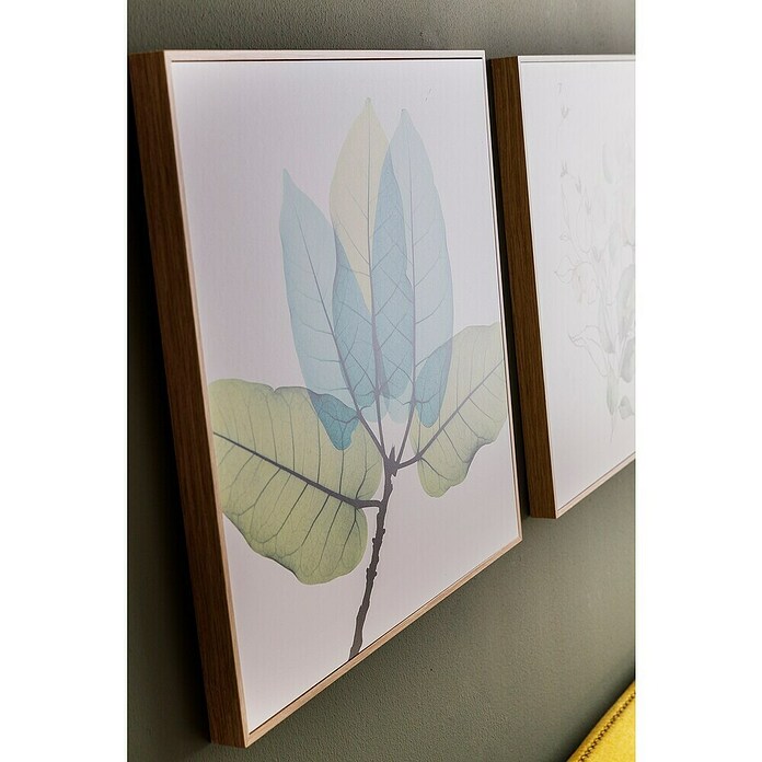 Cuadro Hoja transparente (Hoja transparente, An x Al: 40 x 40 cm, 1 pzs.) | BAUHAUS