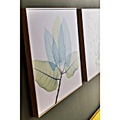 Cuadro Hoja transparente (Hoja transparente, An x Al: 40 x 40 cm, 1 pzs.) | BAUHAUS