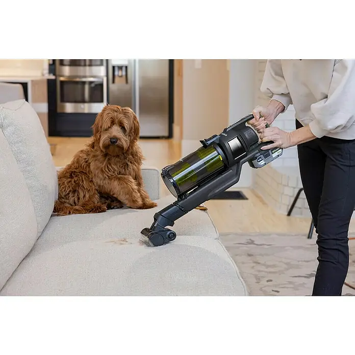 Ryobi ONE+ Akku-Staubsauger RSVS18BL-0 - 18 V, Ohne Akku, Behältervolumen: 0,8 l - Eine Person reinigt mit einem schwarzen RYOBI-Akku-Staubsauger ein beiges Sofa, während ein brauner Hund zusieht.