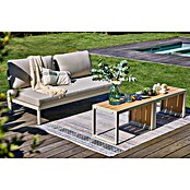 Sunfun Solo Sofá de conjunto (Gris claro, L x An x Al: 167,5 x 86,5 x 66 cm, Aluminio) | BAUHAUS