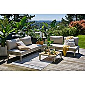 Sunfun Solo Conjunto de muebles sofá + mesa de centro (4 pzs., Gris claro) | BAUHAUS