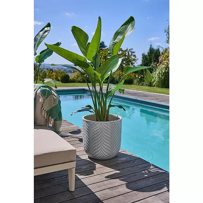 Macetero redondo Birmingham - Dimensiones externas (Ø x Al): 40 x 40 cm, Material compuesto, Crema - Macetero grande gris con patrón de hojas en relieve, conteniendo una planta tropical junto a una piscina en una terraza de madera.