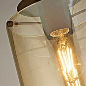 Searchlight Plafondlamp Sweden (Mokka, Amber, E27) | BAUHAUS