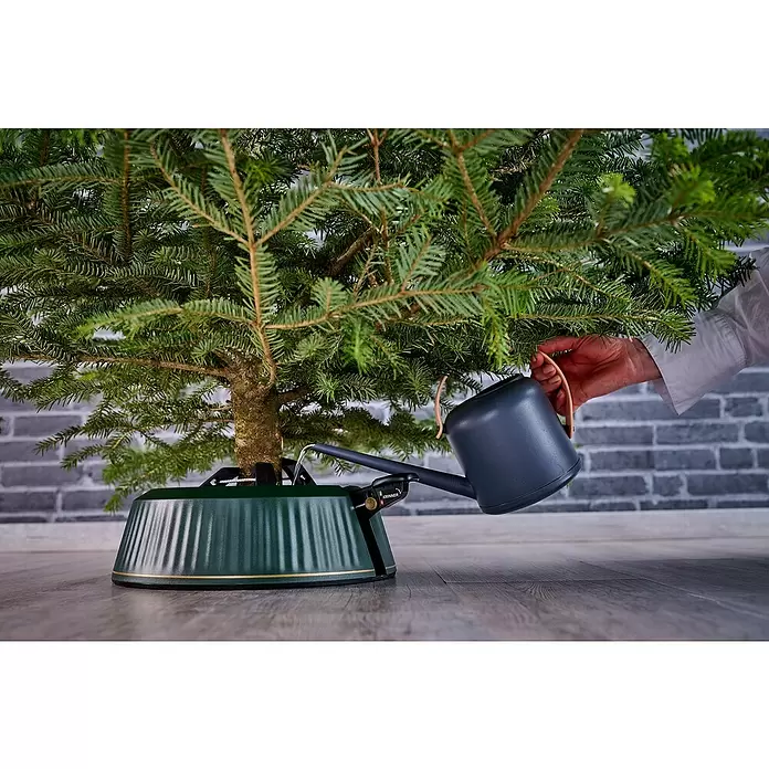 Krinner Christbaumständer X-260 - 36 x 11,5 cm, Kunststoff, Rund - Eine Person gießt einen Weihnachtsbaum, der in einem grünen Ständer befestigt ist, mit einer dunkelgrauen Gießkanne.