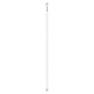 Osram LED cjevasta žarulja (Duljina: 60,4 cm, Topla bijela, 6,6 W, 720 lm, G13)