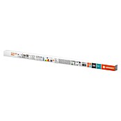 Osram LED cjevasta žarulja  (Duljina: 60,4 cm, Bijele boje dnevnog svjetla, 6,6 W, 800 lm, G13) | BAUHAUS