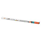 Osram LED cjevasta žarulja  (Duljina: 60,4 cm, Topla bijela, 6,6 W, 720 lm, G13) | BAUHAUS