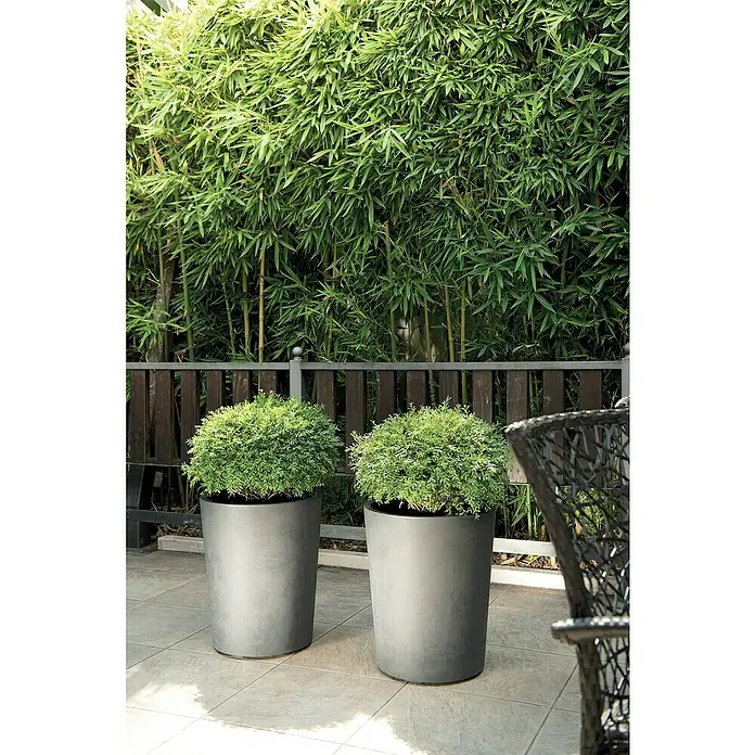 ratolla blumenkasten Ratolla Case Balkonkasten mit Aufhngung Blumenkasten Blumentopf mit H   Euroelectronics DE
