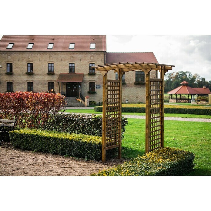 Pergola Straßburg (Durchgangsbreite: 100 cm, Höhe: 218 cm)