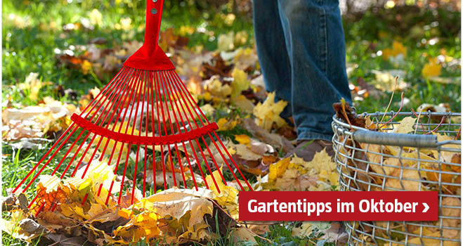 Gartentipps Oktober