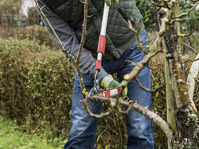 Gartenarbeit im Oktober
