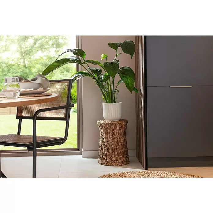 Beistelltisch Trichter - 1 Stk., Ø x H: 30 x 40 cm, Natur - Üppige Grünpflanze in einem gerippten weißen Topf auf einem natürlichen Korbständer, die ein helles, modernes Interieur bereichert.