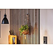 Eglo Priddy Lámpara colgante redonda (Ø x Al: 15,5 x 110 cm)
