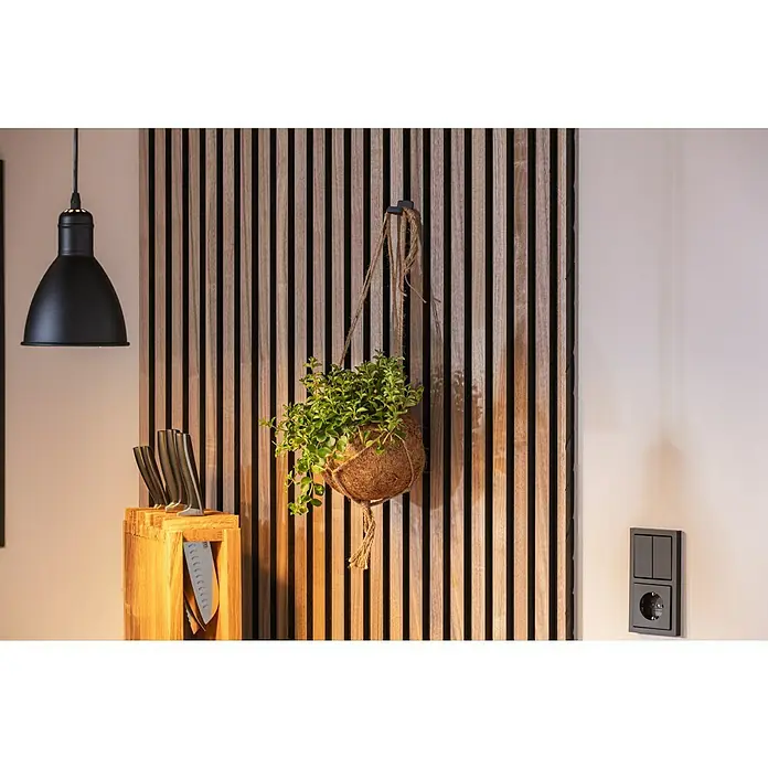 Eglo Priddy Pendelleuchte rund - Ø x H: 15,5 x 110 cm - Nahaufnahme eines hängenden Kokedama mit grüner Pflanze, an einer Holzlamellenwand befestigt, neben einer Lampe und Messerblock.