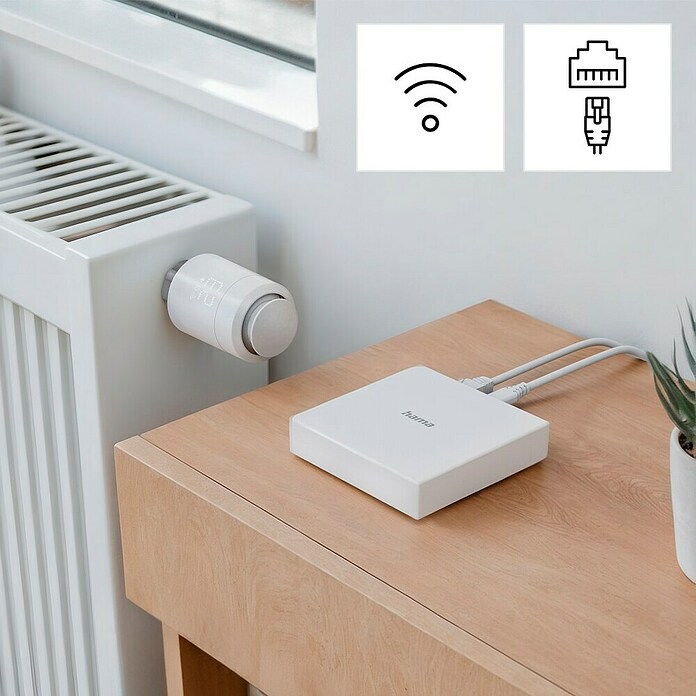 Hama Steuerzentrale Smart-Home-Hub, Matter für Sprach- / Appsteuerung (Weiß) | BAUHAUS