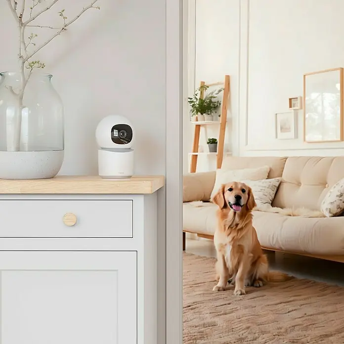 Hama Wifi Überwachungskamera - Erfassungswinkel: 100 ° - Intelligente Überwachungskamera auf einem Tisch neben einem Hund, die Sicherheit und Überwachung für Haustierbesitzer bietet.