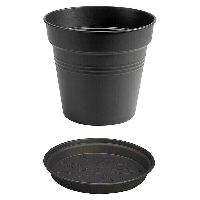 Elho Green Basics Maceta para planta + plato redondo (Dimensiones externas (Ø x Al): 17 x 16 cm, Plástico, Negro) | BAUHAUS
