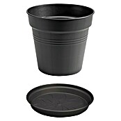 Elho Green Basics Maceta para planta + plato redondo (Dimensiones externas (Ø x Al): 17 x 16 cm, Plástico, Negro) | BAUHAUS