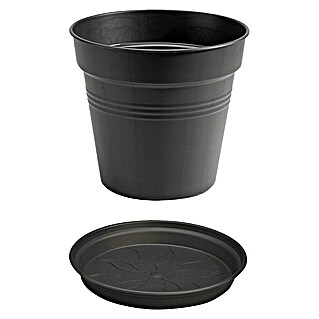 Elho Green Basics Maceta para planta con plato (Dimensiones externas (Ø x Al): 17 x 16 cm, Plástico, Negro)