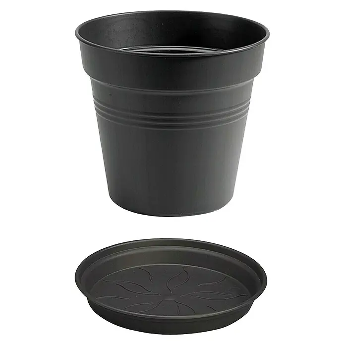 Elho Green Basics Maceta para planta + plato redondo - Dimensiones externas (Ø x Al): 17 x 16 cm, Plástico, Negro - Maceta y platillo negros. El juego es de plástico y es ideal para uso en interiores y exteriores.