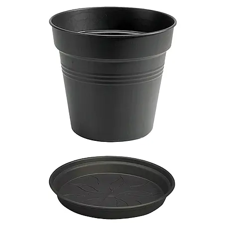 Elho Green Basics Maceta para planta + plato redondo
